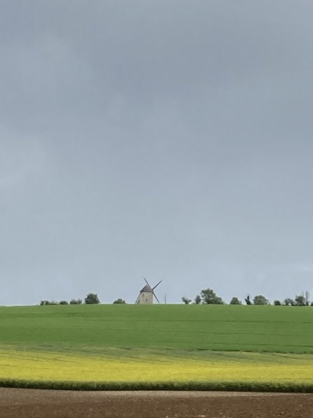 IMG_9918